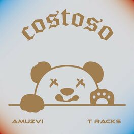 Album cover of Costoso (feat. T racks)