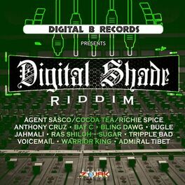 Album cover of Digital Shade Riddim