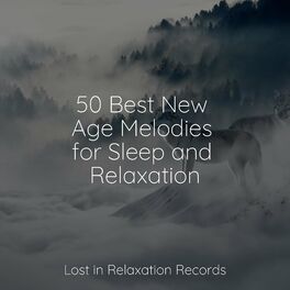 Album cover of 50 Best New Age Melodies for Sleep and Relaxation
