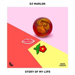Album cover of Story Of My Life