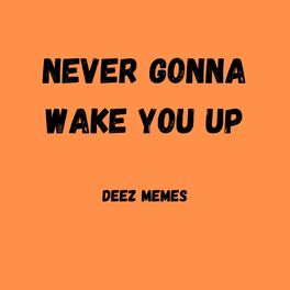 Album cover of Never Gonna Wake You Up