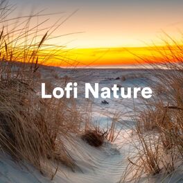 Album cover of Lofi Nature