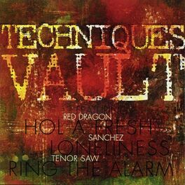 Album cover of Techniques Vault