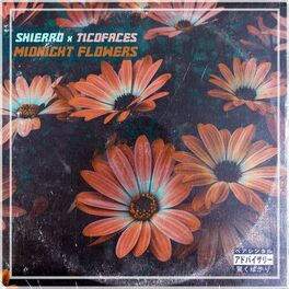 Album cover of Midnight Flowers