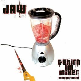 Album cover of Gehirn im Mixer