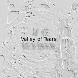 Album cover of Valley of Tears