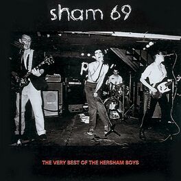Album cover of The Very Best Of The Hersham Boys