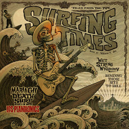 Album cover of Surfing Times