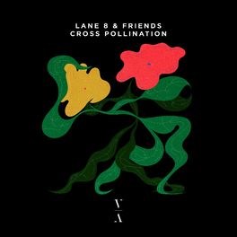 Album cover of Cross Pollination