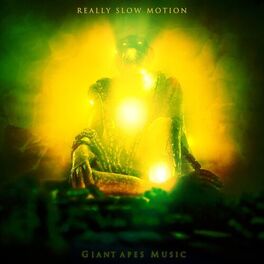 Album cover of Quantum Field
