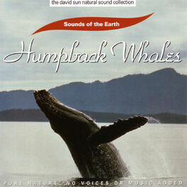 Album cover of Humpback Whales
