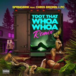 Album cover of Toot That Whoa Whoa (feat. Chris Brown & PC)