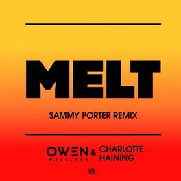 Album cover of Melt (Sammy Porter Remix)