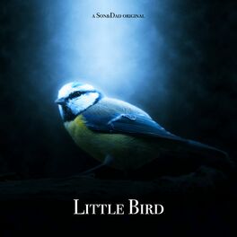 Album cover of Little Bird