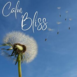 Album cover of Calm Bliss