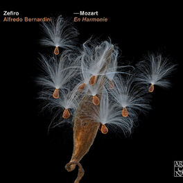 Album cover of Mozart: En Harmonie (Arr. A. Bernadini)