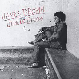 Album picture of In The Jungle Groove