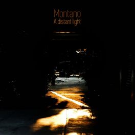 Album cover of A Distant Light