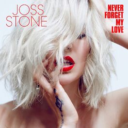 Album cover of Never Forget My Love