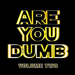 Album cover of Are You Dumb? Vol. 2