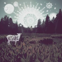 Album cover of Vesaire