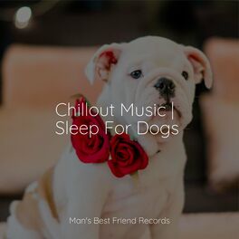Album cover of Chillout Music | Sleep For Dogs