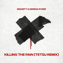 Album cover of Killing The Pain (TETSU Remix)