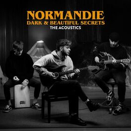 Album cover of Dark & Beautiful Secrets (The Acoustics)