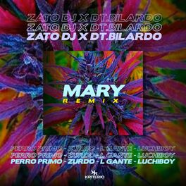 Album cover of Mary Remix