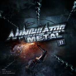 Album cover of Metal II