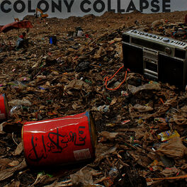 Album cover of Colony Collapse