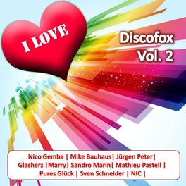 Album cover of I Love Discofox Vol. 2