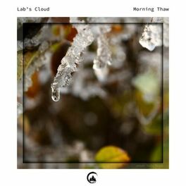 Album cover of Morning Thaw