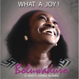 Album cover of What a Joy