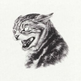 Album cover of Beta Cat