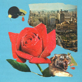 Album cover of Cicatrizou