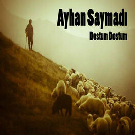 Album cover of Dostum Dostum
