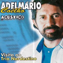 Album cover of Visita ao Trio Nordestino (Acústico)
