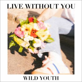 Album cover of Live Without You