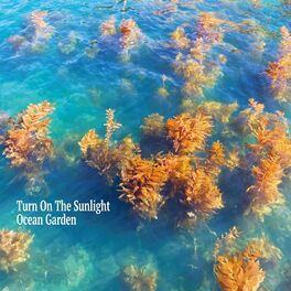 Album cover of Ocean Garden