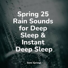 Album cover of Spring 25 Rain Sounds for Deep Sleep & Instant Deep Sleep