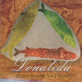 Album cover of Resistência da Pedra
