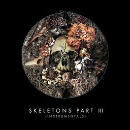 Album cover of Skeletons: Part 3 (Instrumentals)