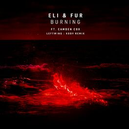 Album cover of Burning (Leftwing : Kody Remix)