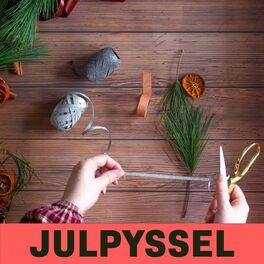 Album cover of Julpyssel