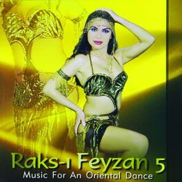 Album cover of Raks-ı Feyzan, Vol. 5