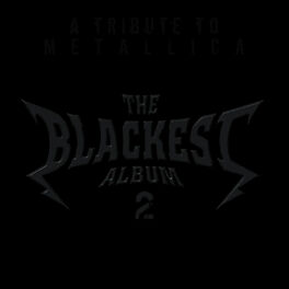 Album cover of The Blackest Album 2 a Tribute to Metallica