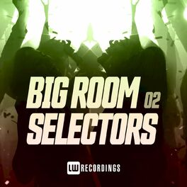 Album cover of Big Room Selectors, 02