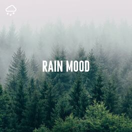 Album cover of Rain Mood