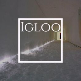 Album cover of Igloo